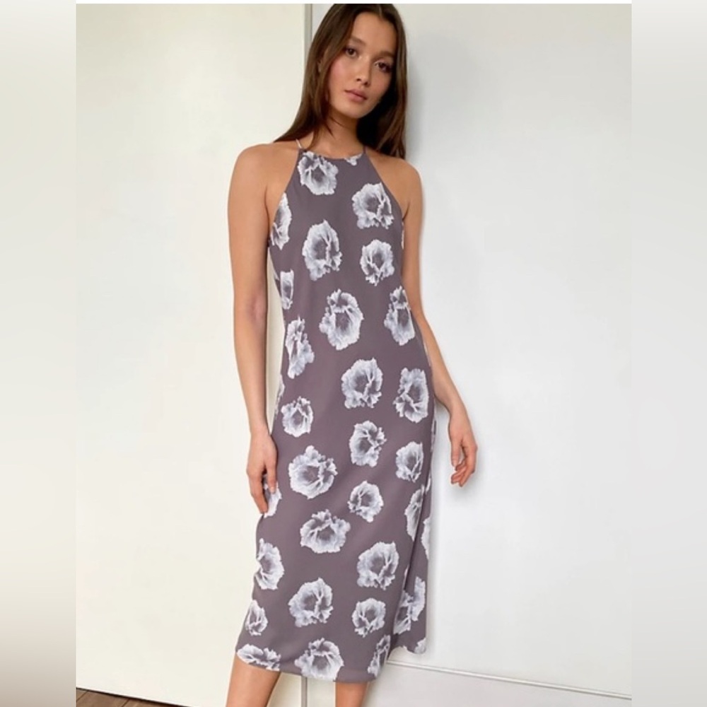 Aritzia Babaton Lato Dress